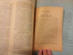 SFD-July33-Cosmos-insert