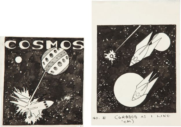 Bok-Cosmos-large